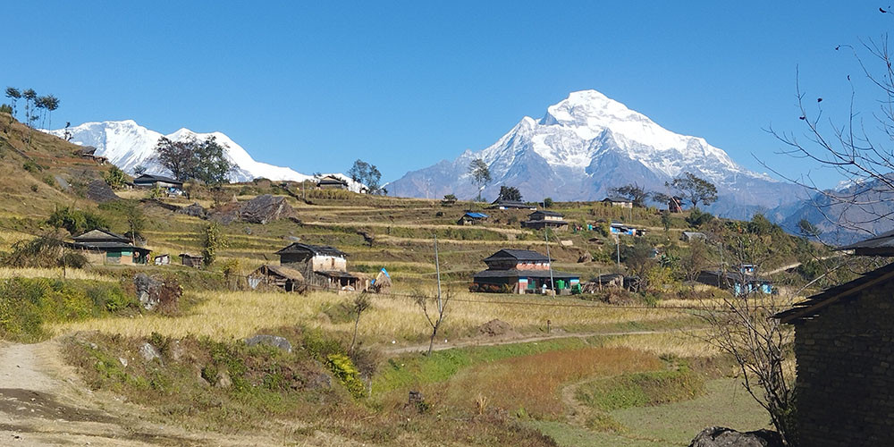 कोप–२८ : जलवायु सङ्कट रोक्न हरितगृह ग्यास उत्सर्जन घटाउन अपरिहार्य